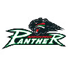 Augsburger Panther (All)