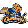 Sherbrooke Castors (Can)