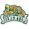 Everett Silvertips (Usa)