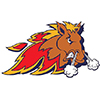 Vaudreuil-Dorion Mustangs (Can)