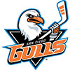 San Diego Gulls (Usa)