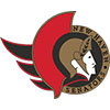 New Haven Senators (Usa)