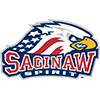 Saginaw Spirit (Can)