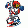 Steaua Bucuresti (Rou)