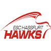 ERC Hafurt (All)