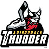 Adirondack Thunder (Usa)
