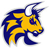 Torino Bulls (Ita)