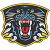Nottingham Panthers (Uk)