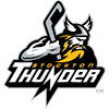 Stockton Thunder (Usa)