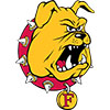 Ferris State University Bulldogs (Usa)