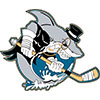 Cleveland Barons (Usa)