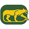 Chicago Cougars (Usa)