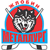 Metallurg Zhlobin (Blr)