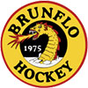 Brunflo IK (Sue)